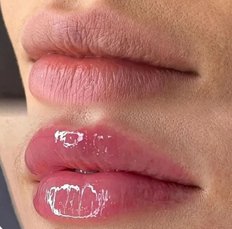 Hidra Gloss Color